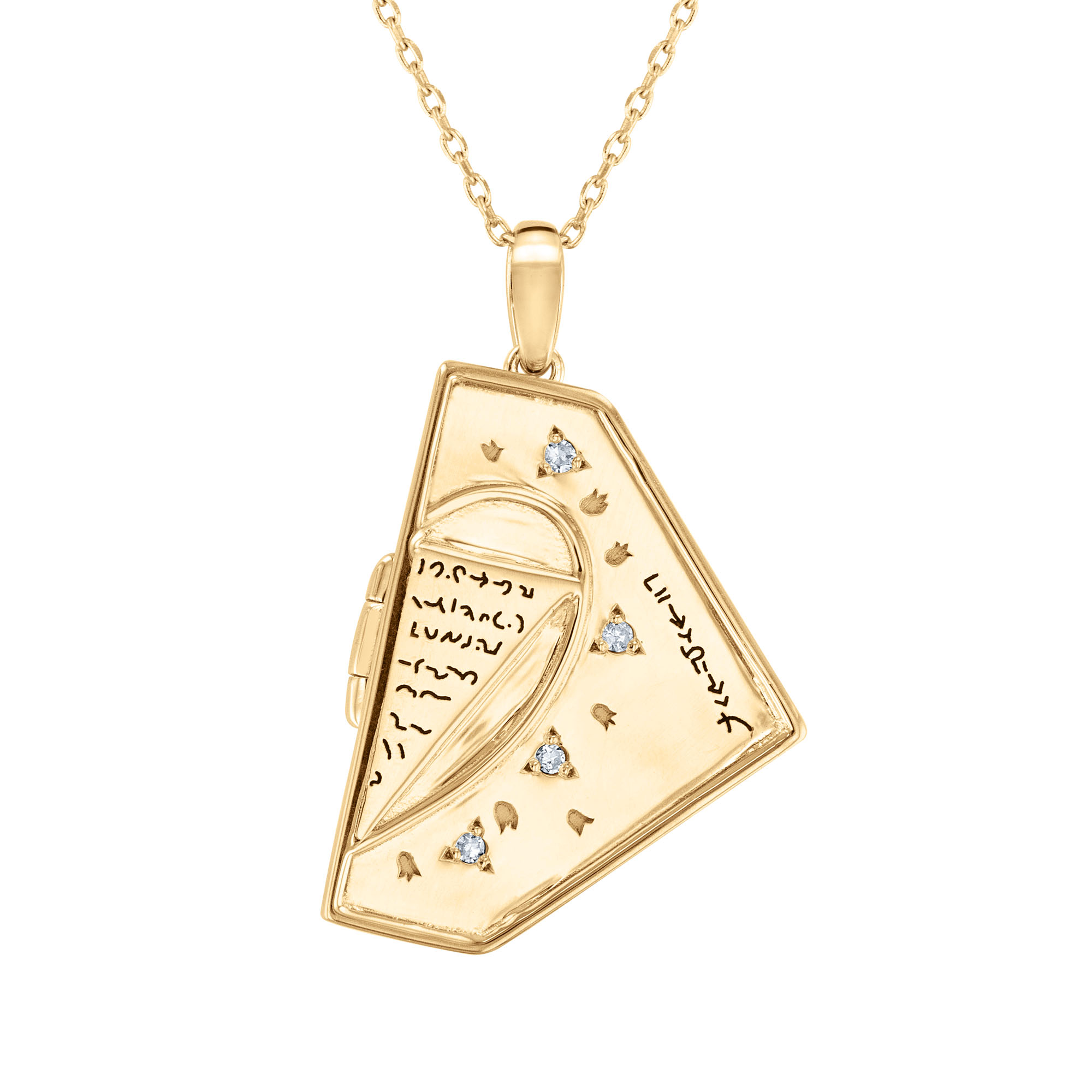 REEDS Wicked Elphaba 1/15ctw Diamond Gold Vermeil Grimmerie Locket Pendant Necklace