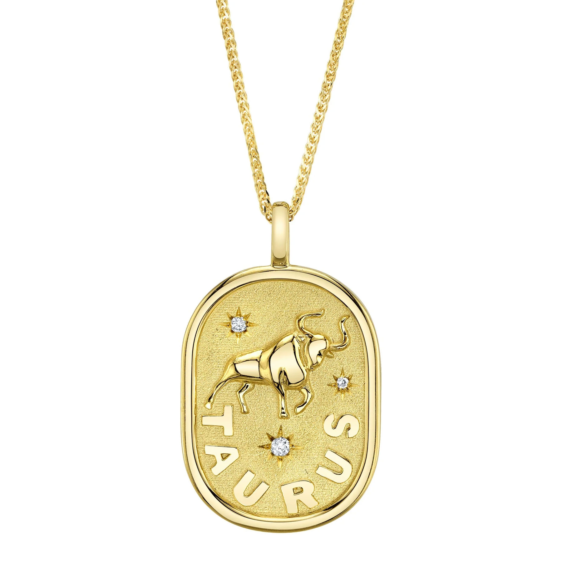 Shy Creation  Diamond Accent 14k Yellow Gold Zodiac Taurus Bull Star Pendant Necklace