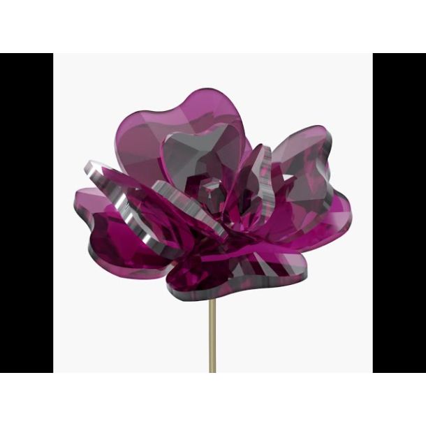 Swarovski Crystal Garden Tales Rose | REEDS Jewelers