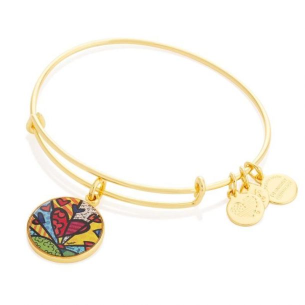 Alex and ani hotsell artist bracelet