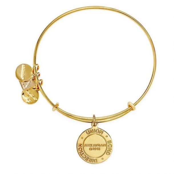 Alex and ani arrows of friendship online