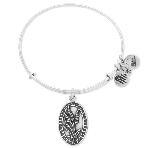 Alex and ani aunt charm clearance bracelet