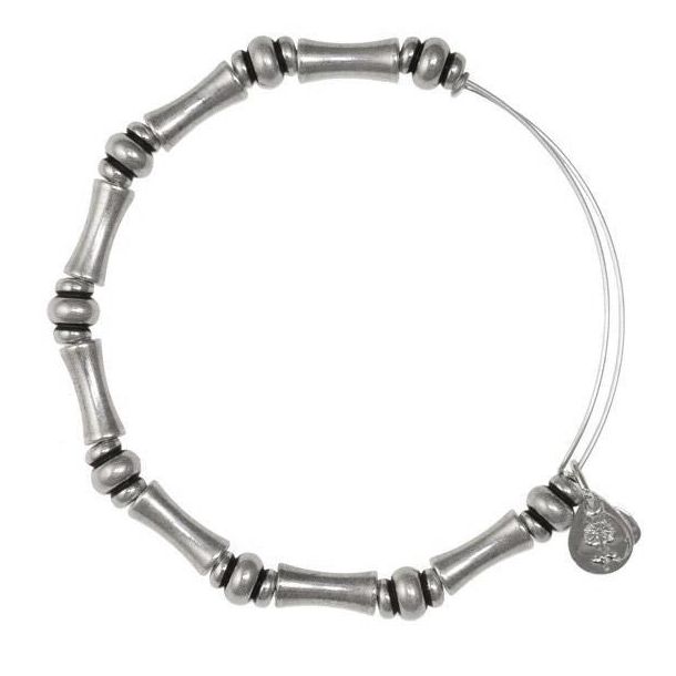 Alex and Ani Bamboo Beaded Bangle Bracelet Rafaelian Silver Finish REEDS Jewelers