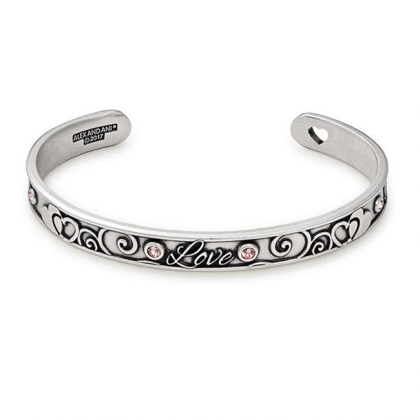Alex and ani love 2025 and luck bracelet