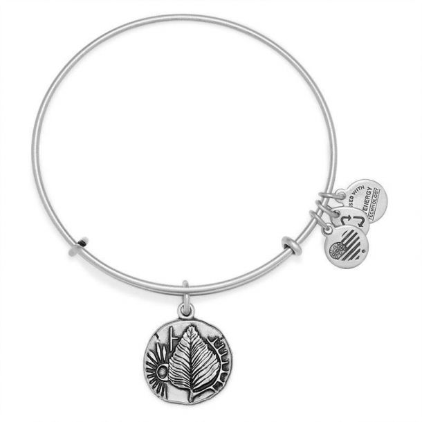 Alex and Ani Birch Charm Bangle Rafaelian Silver Finish REEDS Jewelers