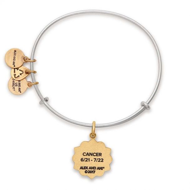 Alex and store ani cancer bracelet