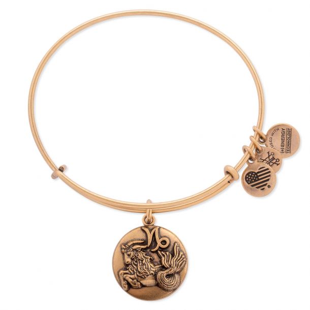 Alex and ani running bracelet online