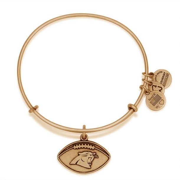 Alex and ani panthers bracelet outlet