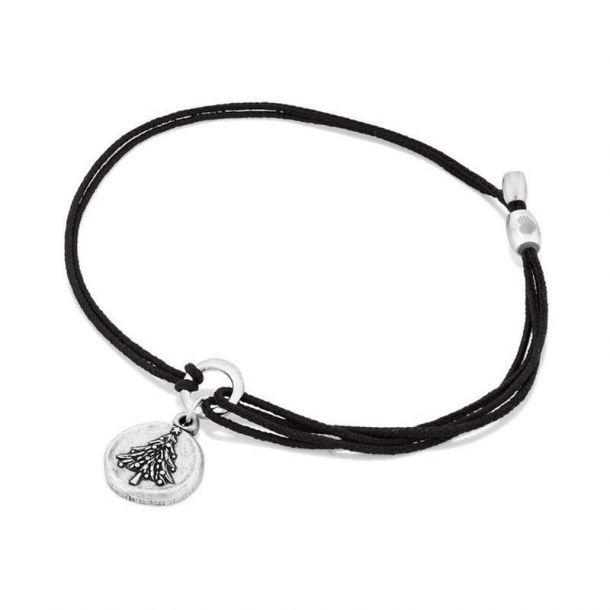 Alex and ani moon pull chain bracelet on sale