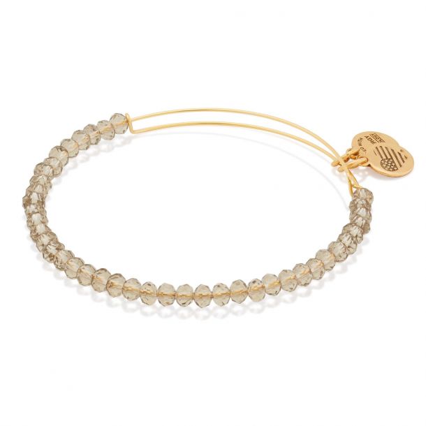 Alex and ani crescent moon necklace clearance