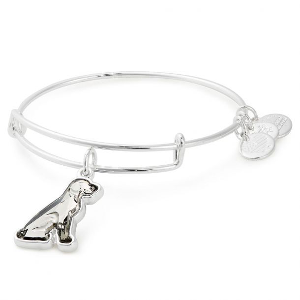 Alex and hot sale ani pet bracelet