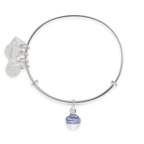 alex and ani cupcake