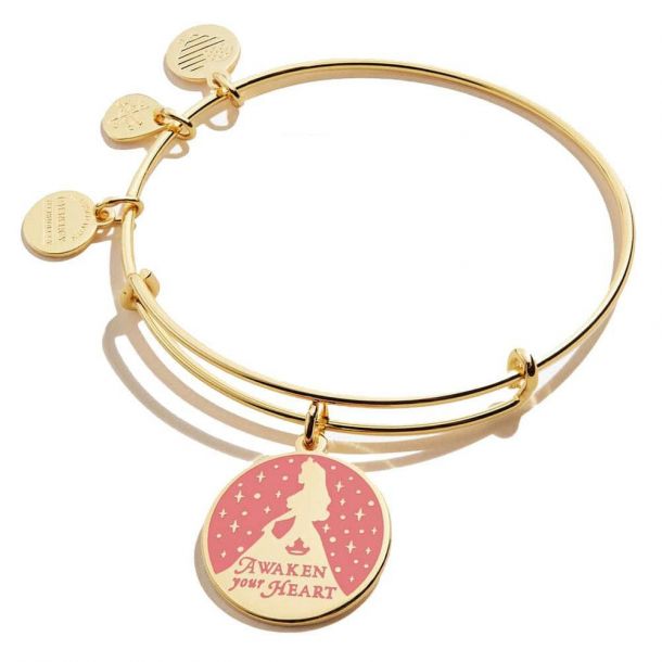 Sleeping beauty charm bracelet hot sale