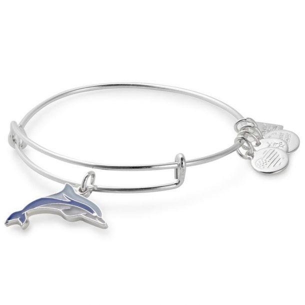 Alex and Ani Dolphin Bangle Bracelet Shiny Silver Finish