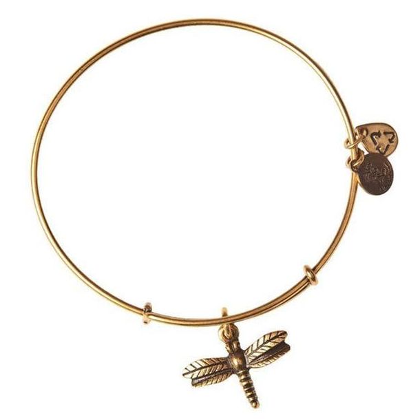 Alex and Ani Dragonfly Charm Bangle Bracelet Rafaelian Gold Finish