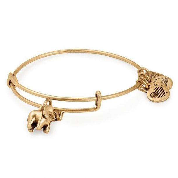 Alex and ani elephant charm store