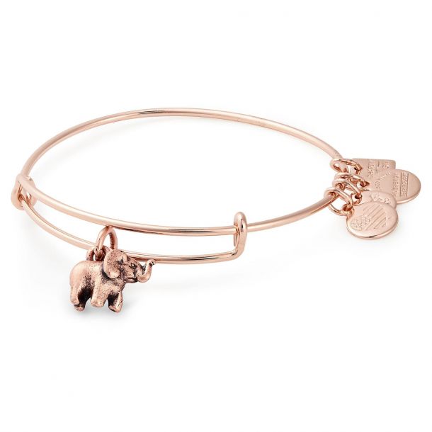 Alex and ani best sale elephant bracelet silver
