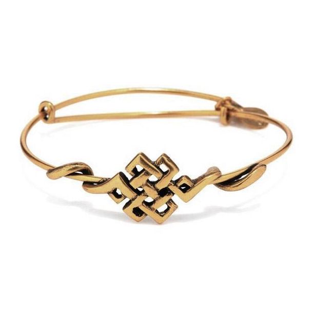 Alex and ani endless knot necklace discount