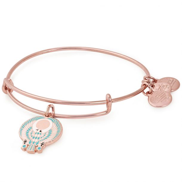 Alex and ani discount falcon