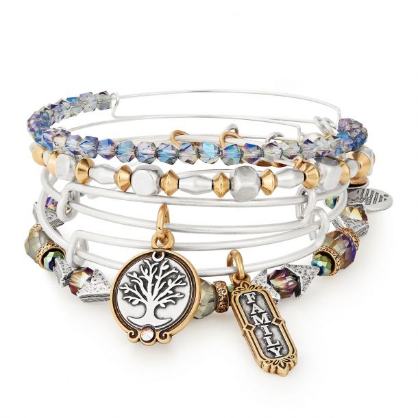 Alex and Ani Family Set of 5 Two Tone Bangle Bracelets
