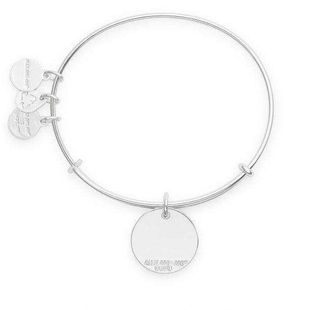 Alex and ani fsu sale bracelet