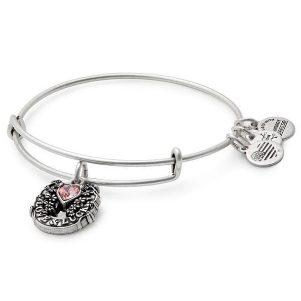 Alex and Ani Fortune s Favor Charm Bangle Bracelet Rafaelian Silver Finish