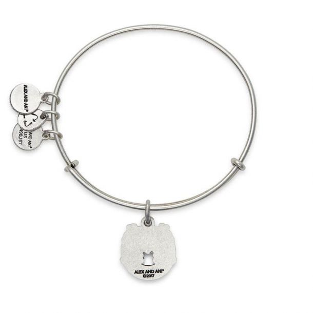Fortune's favor alex and ani top