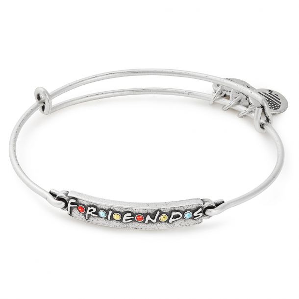 Alex and Ani FRIENDS Logo Bar Bangle Bracelet Rafaelian Silver Finish