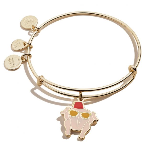 Alex and ani bracelets the bay clearance