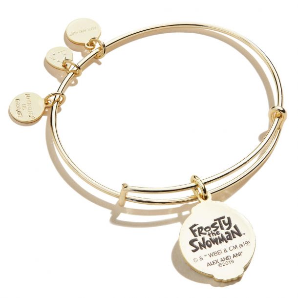 Alex and sales ani snowman bracelet