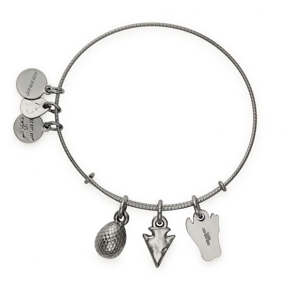 Alex and Ani GAME OF THRONES Daenerys Targaryen Charm Bangle Bracelet Midnight Silver Finish REEDS Jewelers