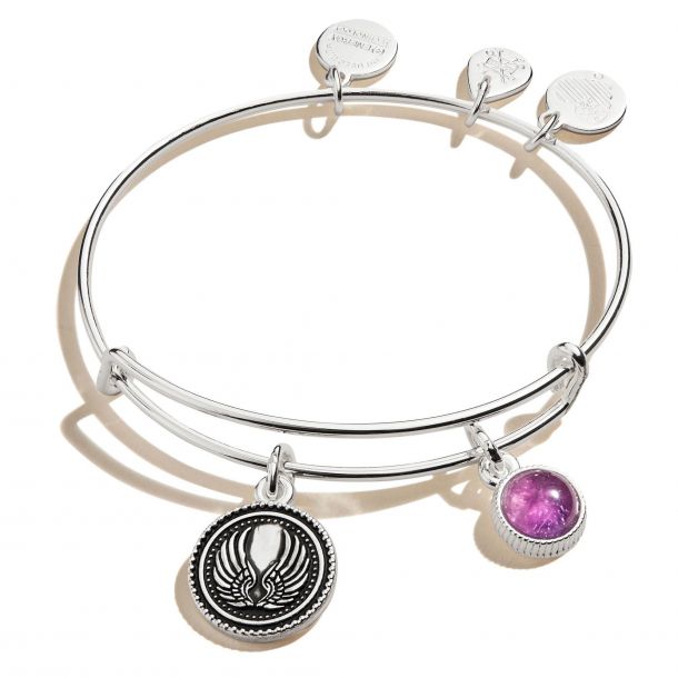 Alex and ani february birthstone charm bangle sale