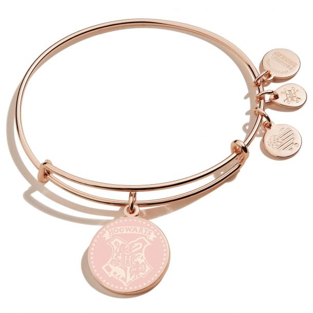 Alex and ani gryffindor top