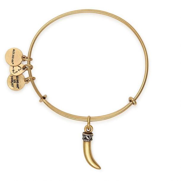 Alex and deals ani horn necklace