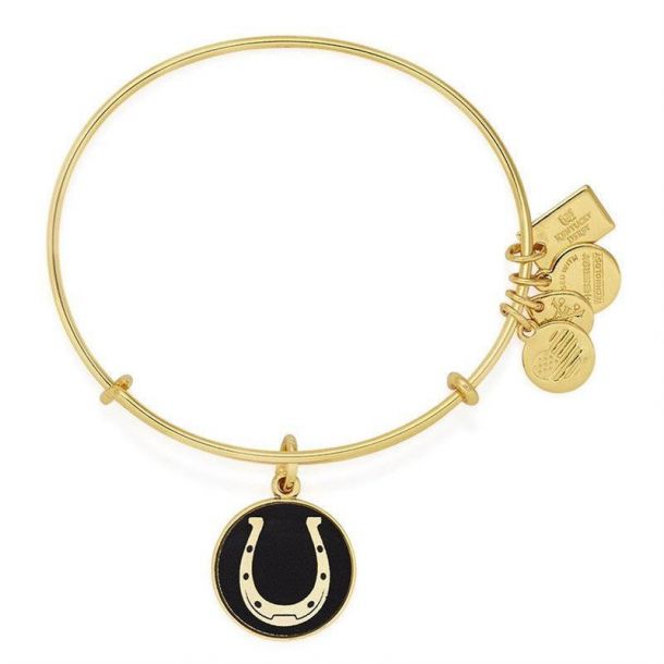 Alex and ani horseshoe bracelet online