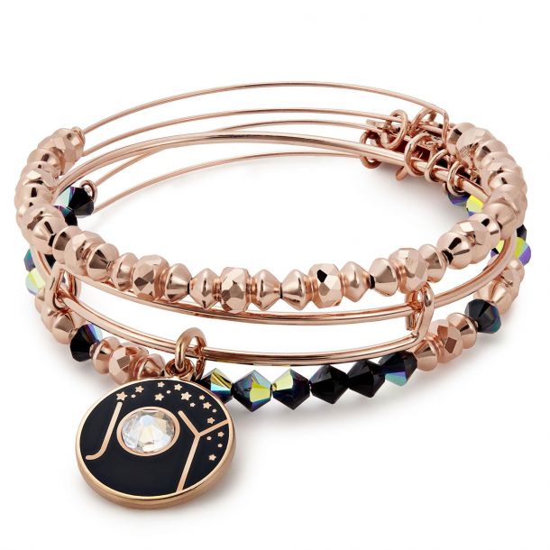Rose alex and ani sales