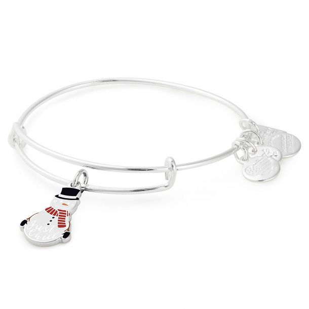 Alex and ani bracelet charms only hot sale