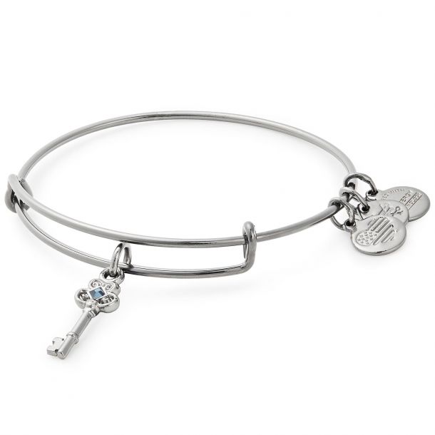Alex and Ani Key to Wisdom Charm Bangle Bracelet Midnight Silver Finish