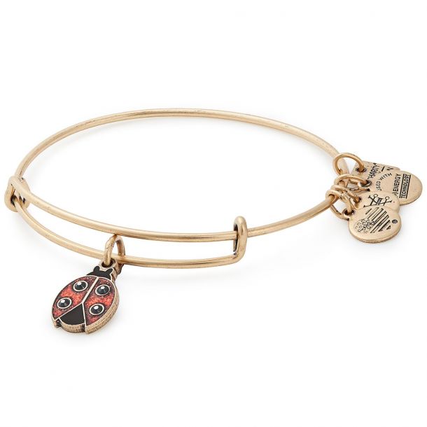 Alex and top ani ladybug bracelet