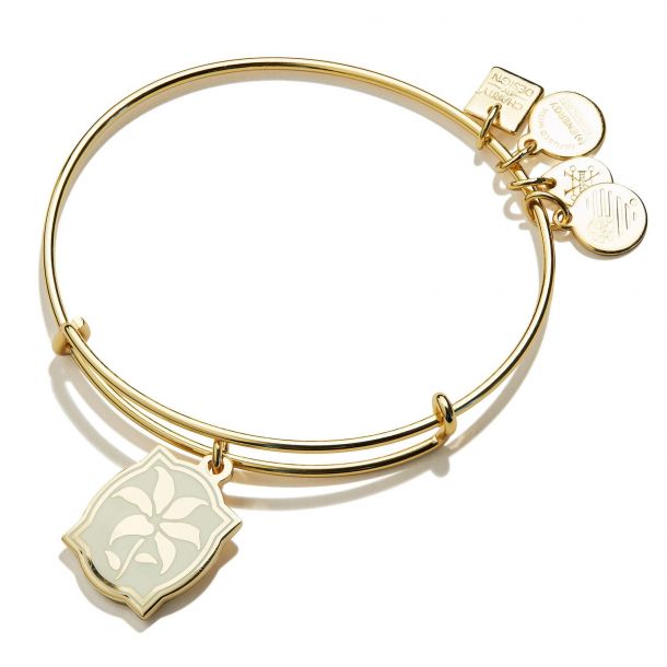 Alex and ani healing bracelet hotsell