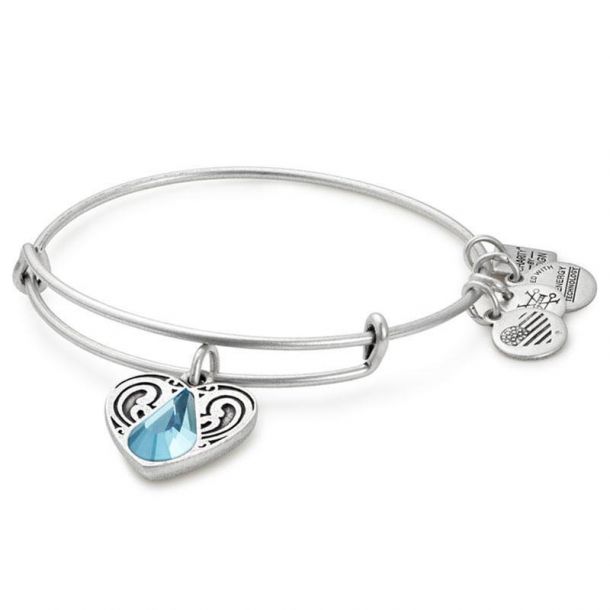Alex and Ani Living Water Charm Bangle Bracelet Rafaelian Silver Finish REEDS Jewelers
