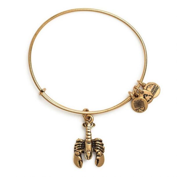 Alex and ani lobster bracelet discount