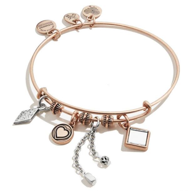 Charm bracelets alex and best sale ani