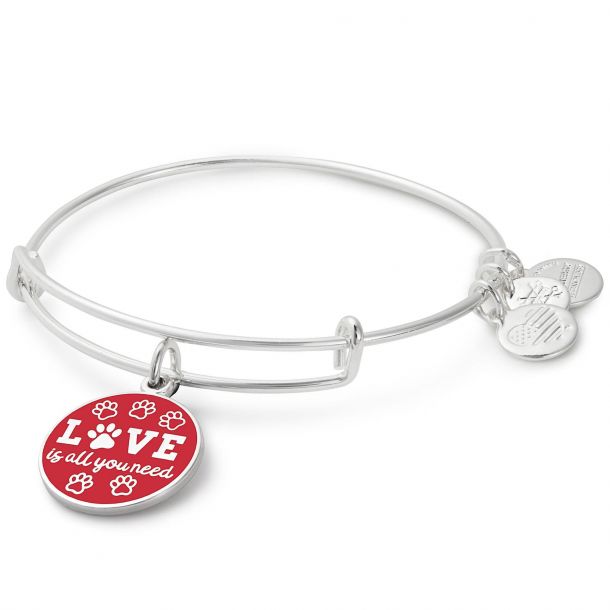 Alex and Ani Love is All You Need Charm Bangle Shiny Silver Finish
