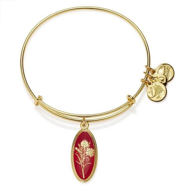 Alex and ani love potion bracelet new arrivals