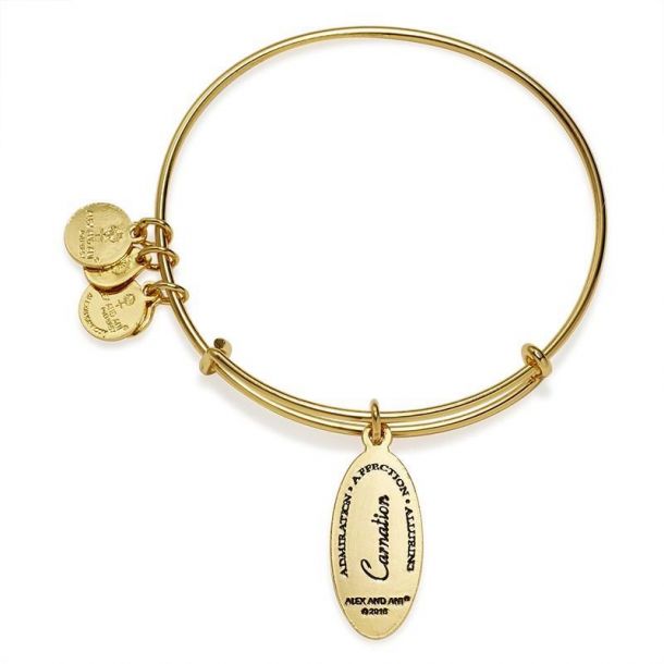 Alex and ani love potion bracelet sale