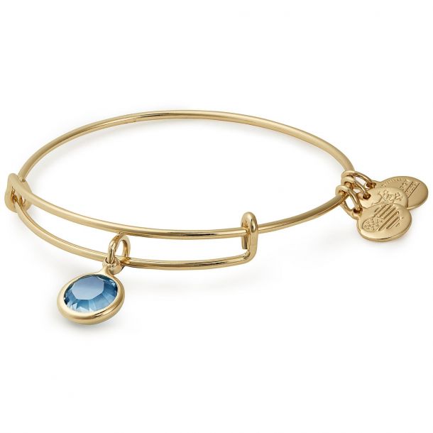 Alex and ani charm bangle bracelet on sale