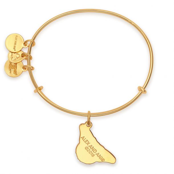 Alex and Ani Monarch Butterfly Charm Bangle Bracelet Shiny Gold Finish REEDS Jewelers