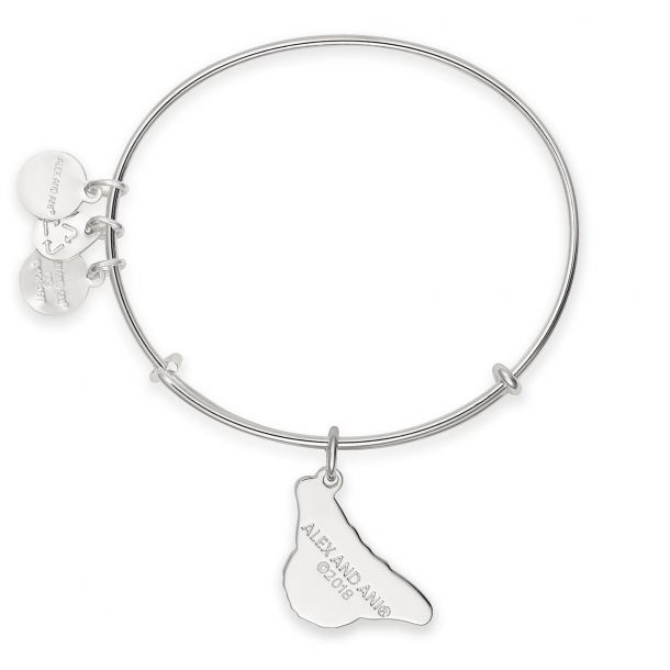 Alex and ani monarch butterfly bracelet deals