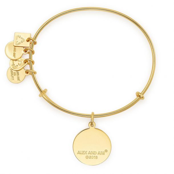 Alex and ani never give up 2025